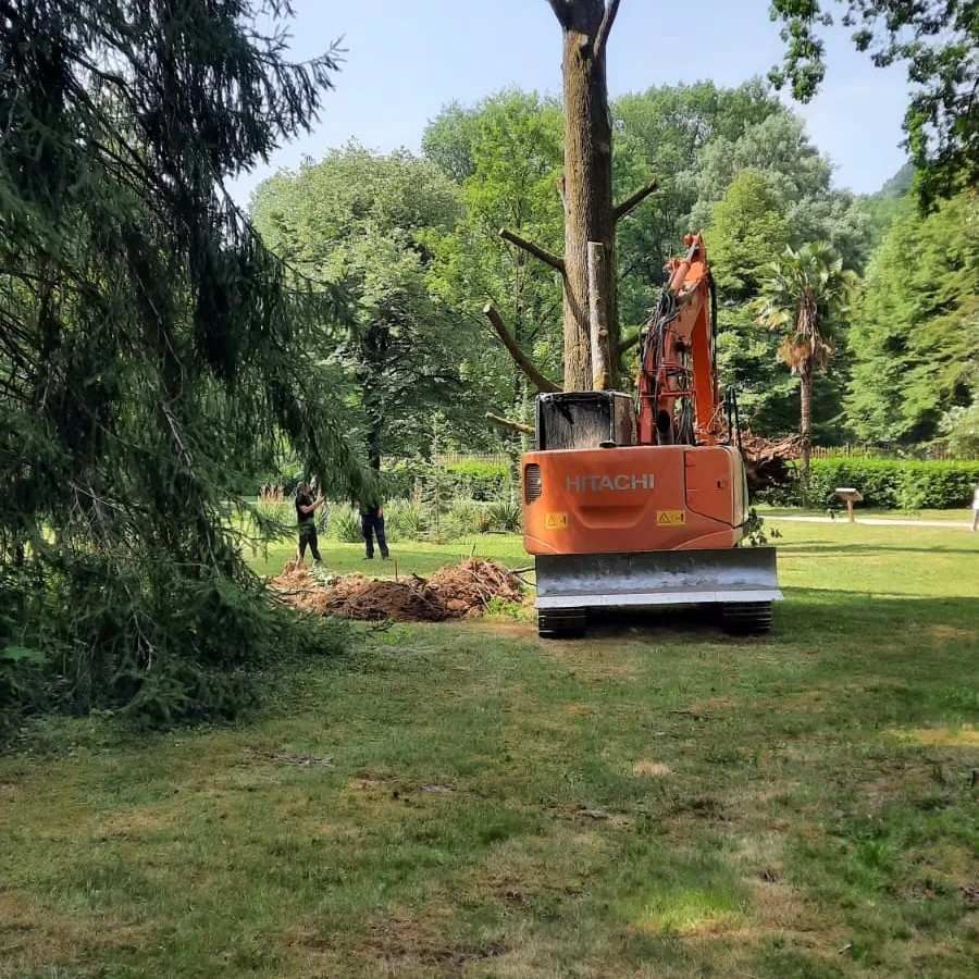Una excavadora naranja quita un árbol en un parque; dos personas observan.