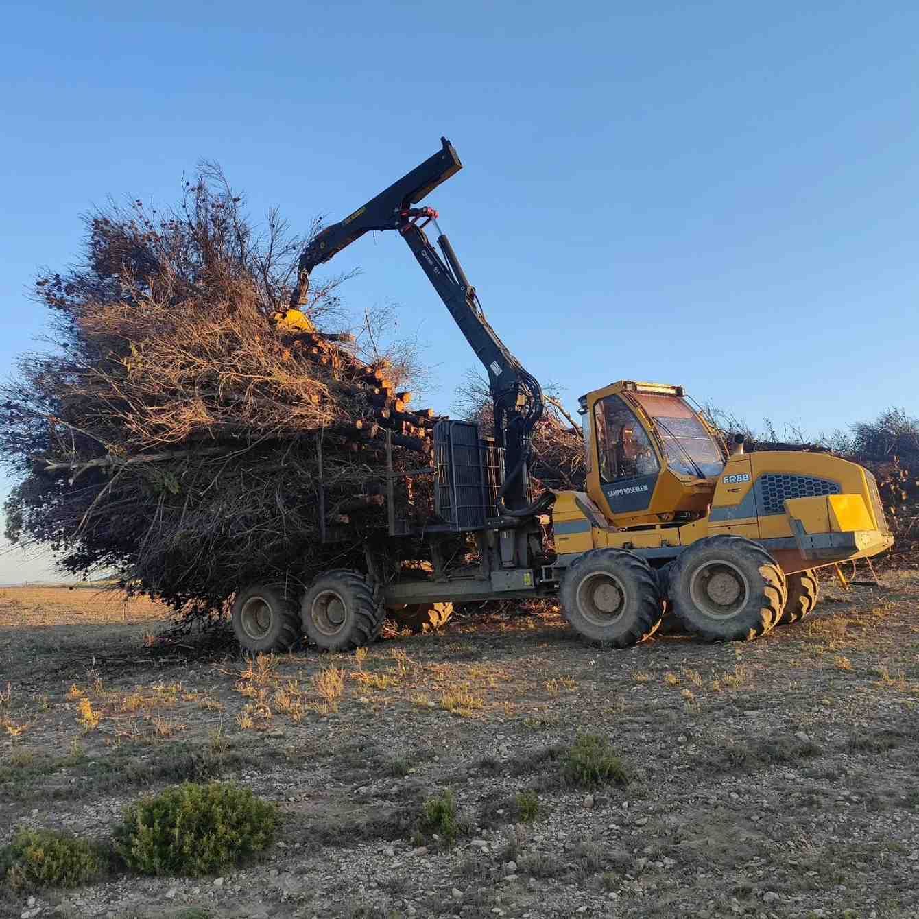 Máquina forestal amarilla cargando ramas en un remolque en un campo.