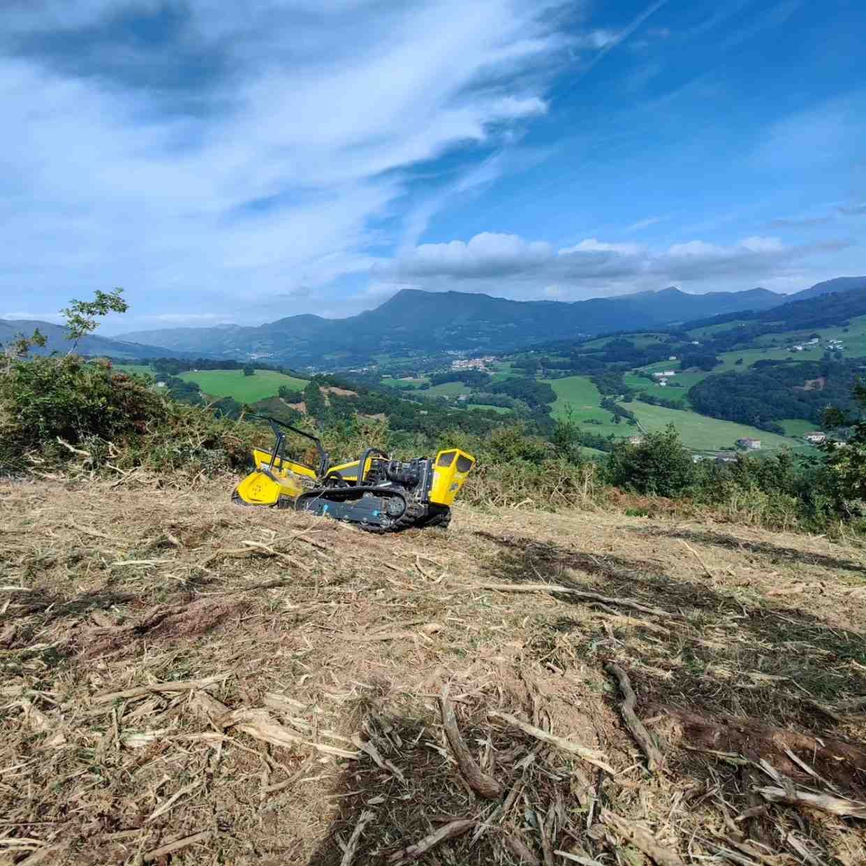 Una máquina de orugas amarilla y gris en una ladera deforestada con una vista de montaña en el fondo.
