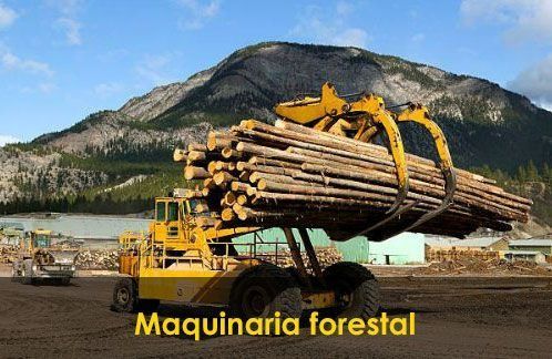 Un camión de maquinaria forestal está cargado con troncos