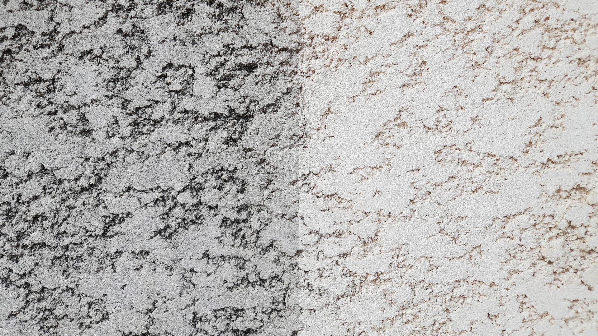 Mur partiellement nettoyé, laissant apparaître le contraste entre la moisissure noire et le stuc blanc.