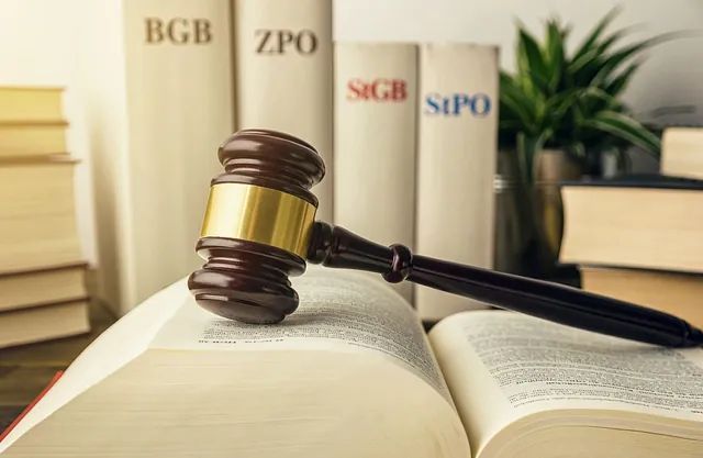 Un mazo de madera descansa sobre un libro de leyes abierto rodeado de textos legales.
