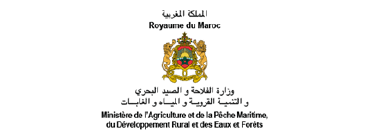 Un logotipo para una empresa llamada Reino de Marruecos.