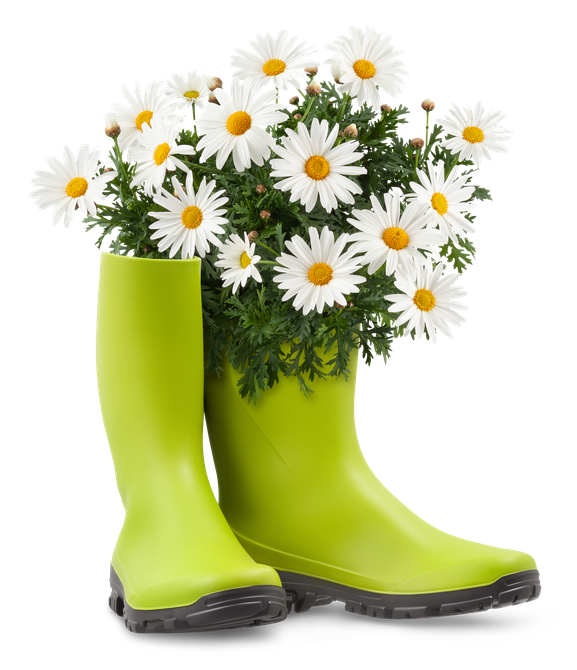Une paire de bottes vert citron débordant d'un bouquet de marguerites blanches.