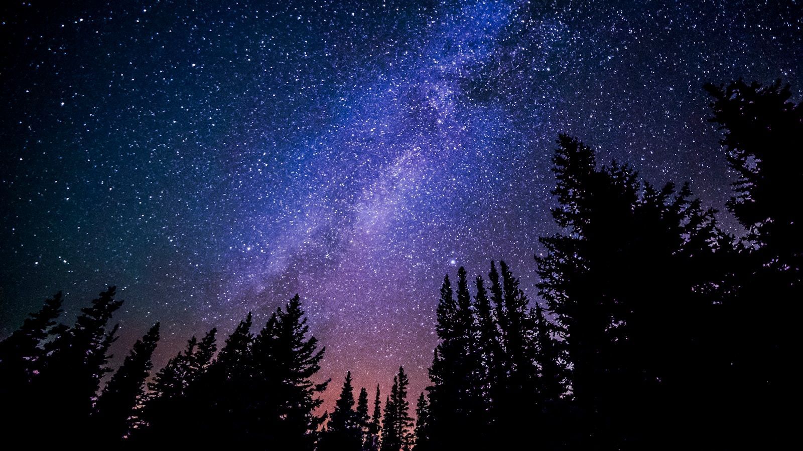 a night sky showing the Milky Way with the silhouettes of trees in the foreground, representing the balance between the grounded and expansive inner world of women with AuDHD