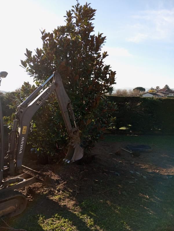 Pelleteuse pour planter un arbre lourd dans le jardin