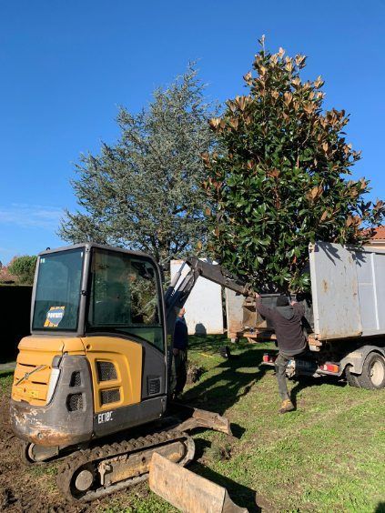 Arbre à planter déchargé à l'aide d'un engin de chantier