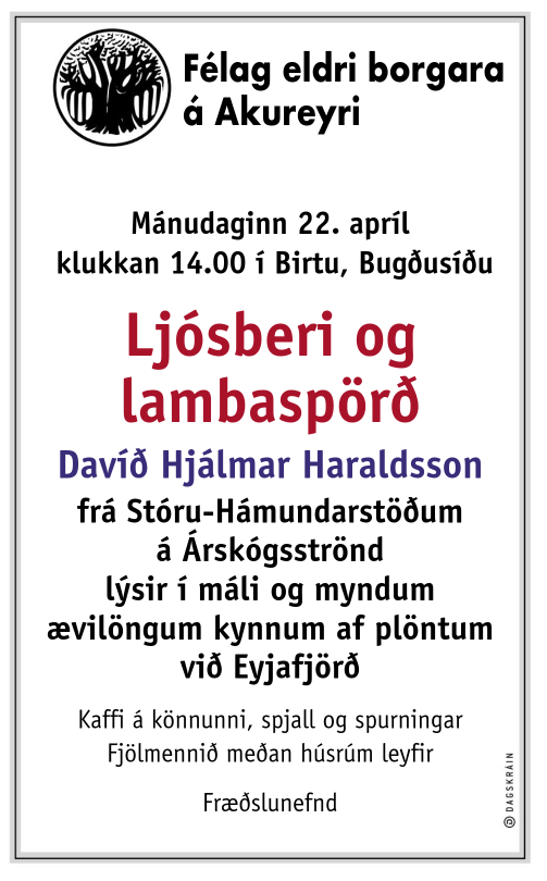Ljósberi og lambaspörð