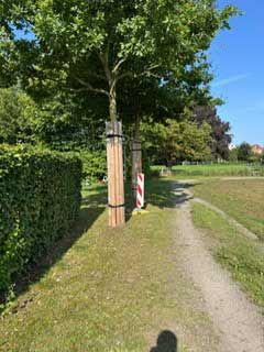 Baum mit Stützbalken auf grasbewachsenem Weg, links grüne Hecke, sonniger Tag.