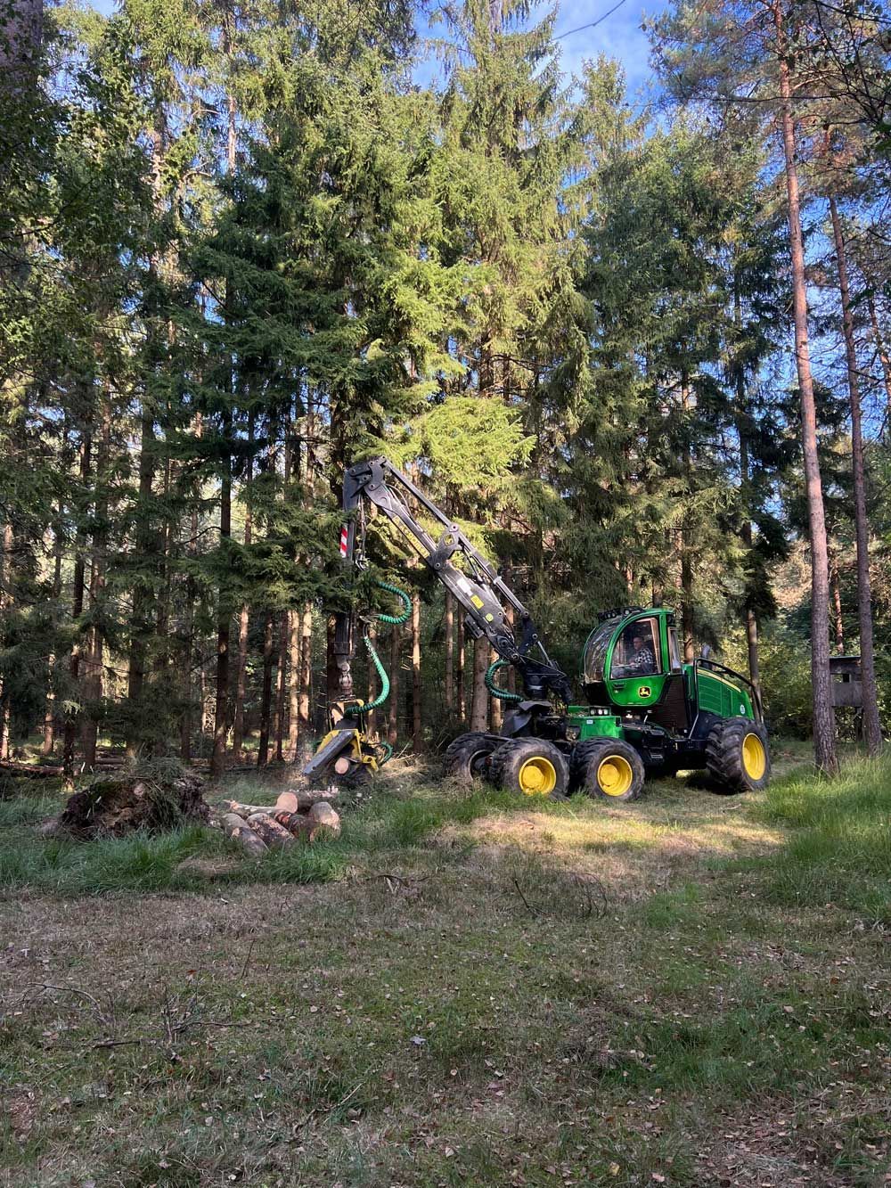 Eine John Deere Forstmaschine beim Baumstammschneiden im Wald. Grüne Maschine, gelbe Räder.