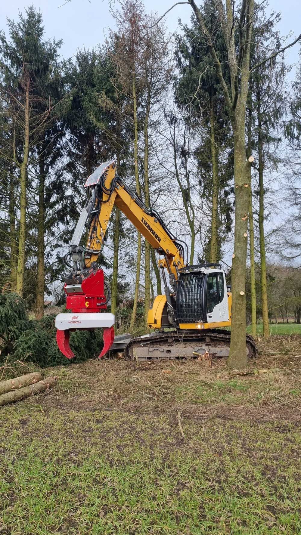 Gelber Bagger mit rotem Greifer fällt Bäume in einem Waldgebiet.