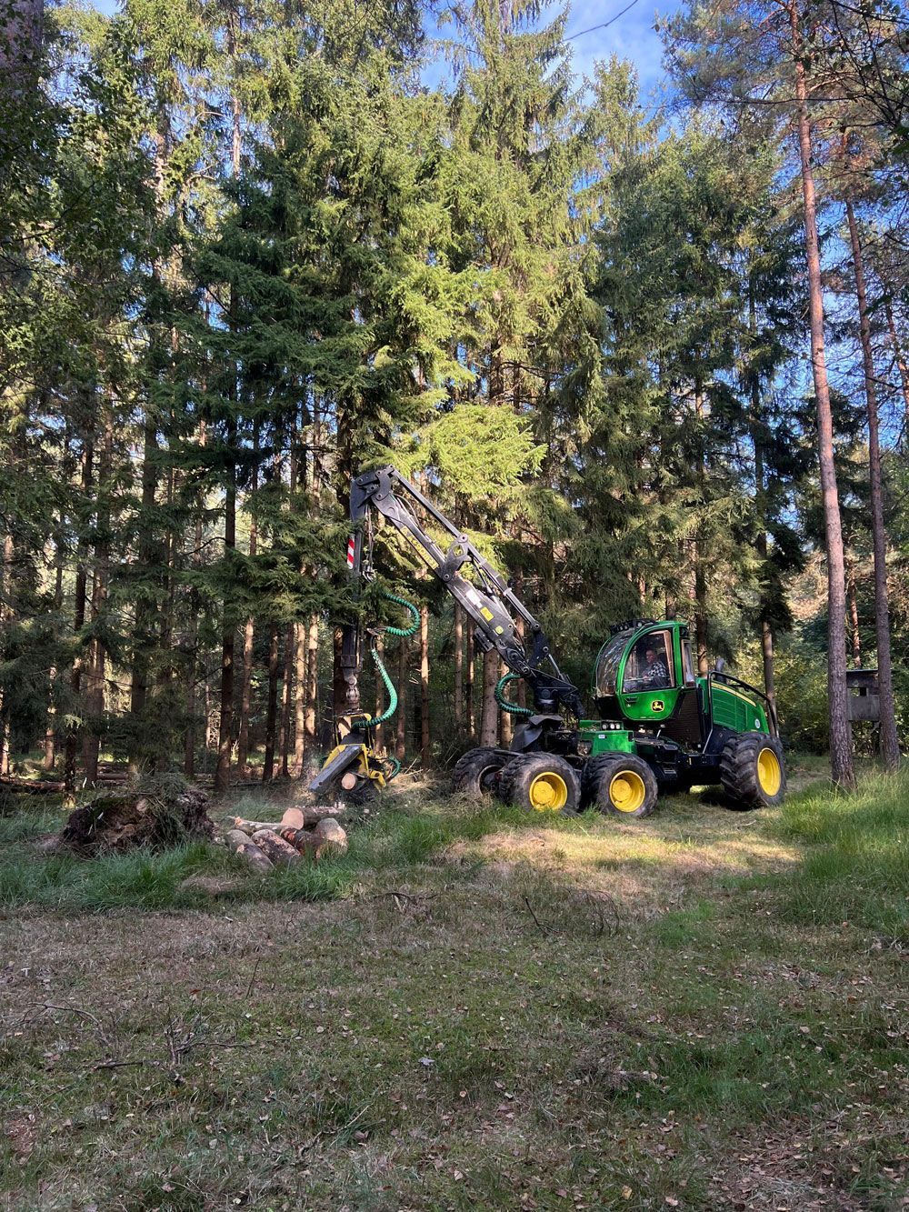 Eine grüne Holzerntemaschine fällt einen Baum im Wald.