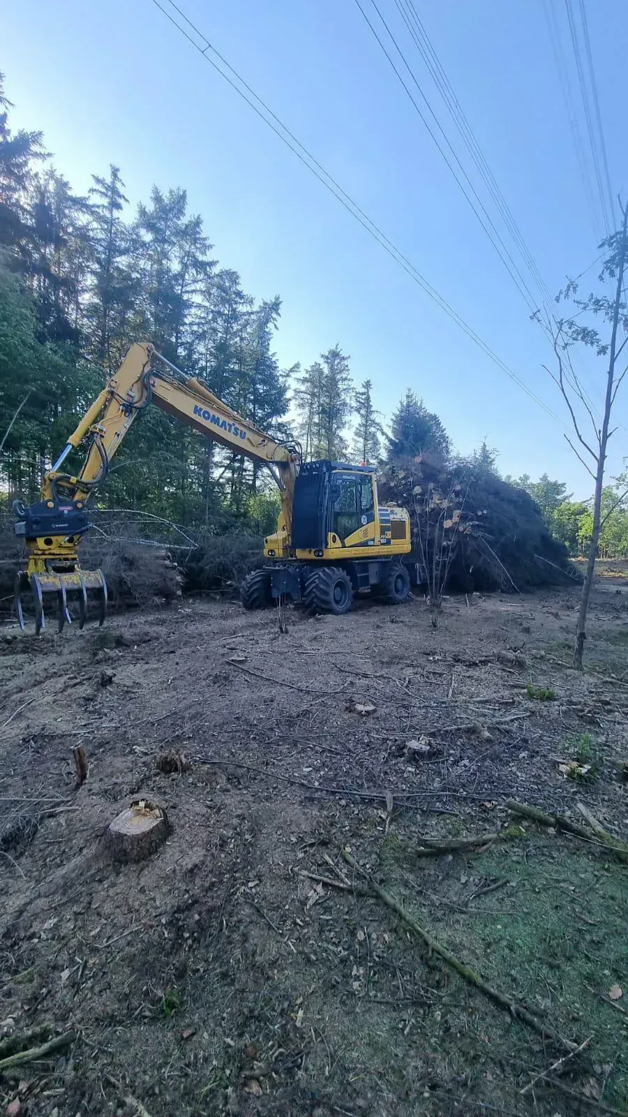 Ein gelber Bagger bewegt einen Stapel Baumstämme auf einem Feld.