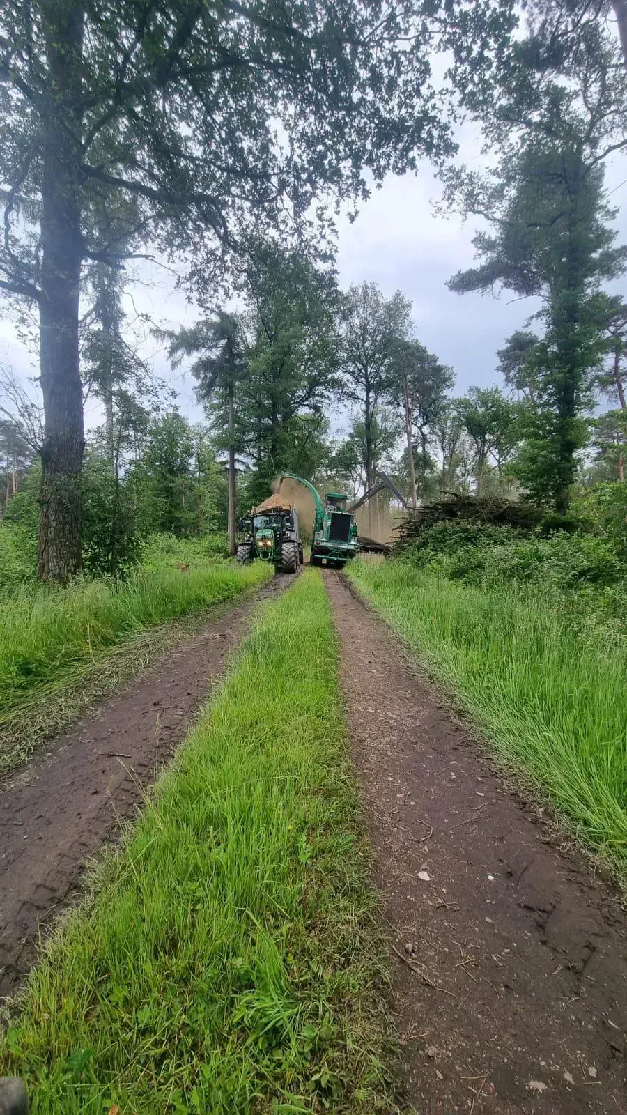 Ein Traktor fährt einen Feldweg im Wald entlang.