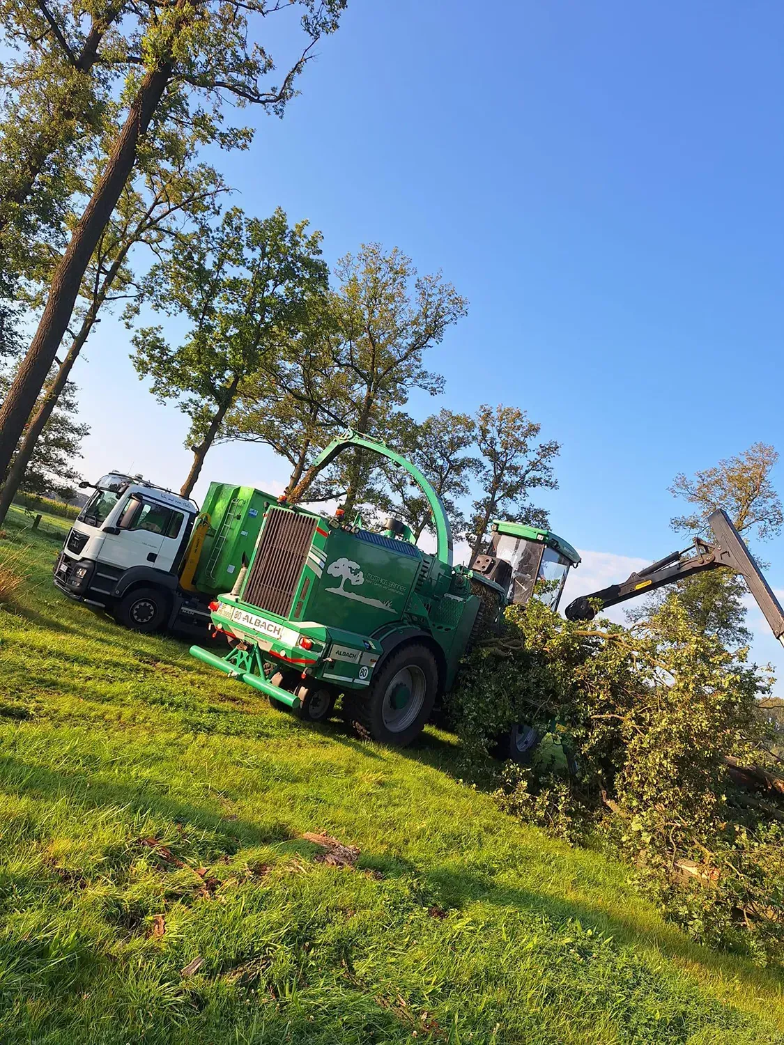 Ein grüner Lastwagen fällt Bäume auf einer Wiese.