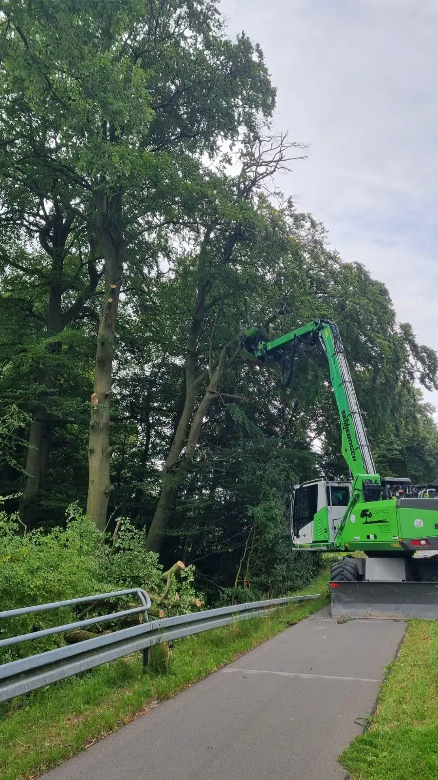 Ein grüner Kran fällt einen Baum am Straßenrand.