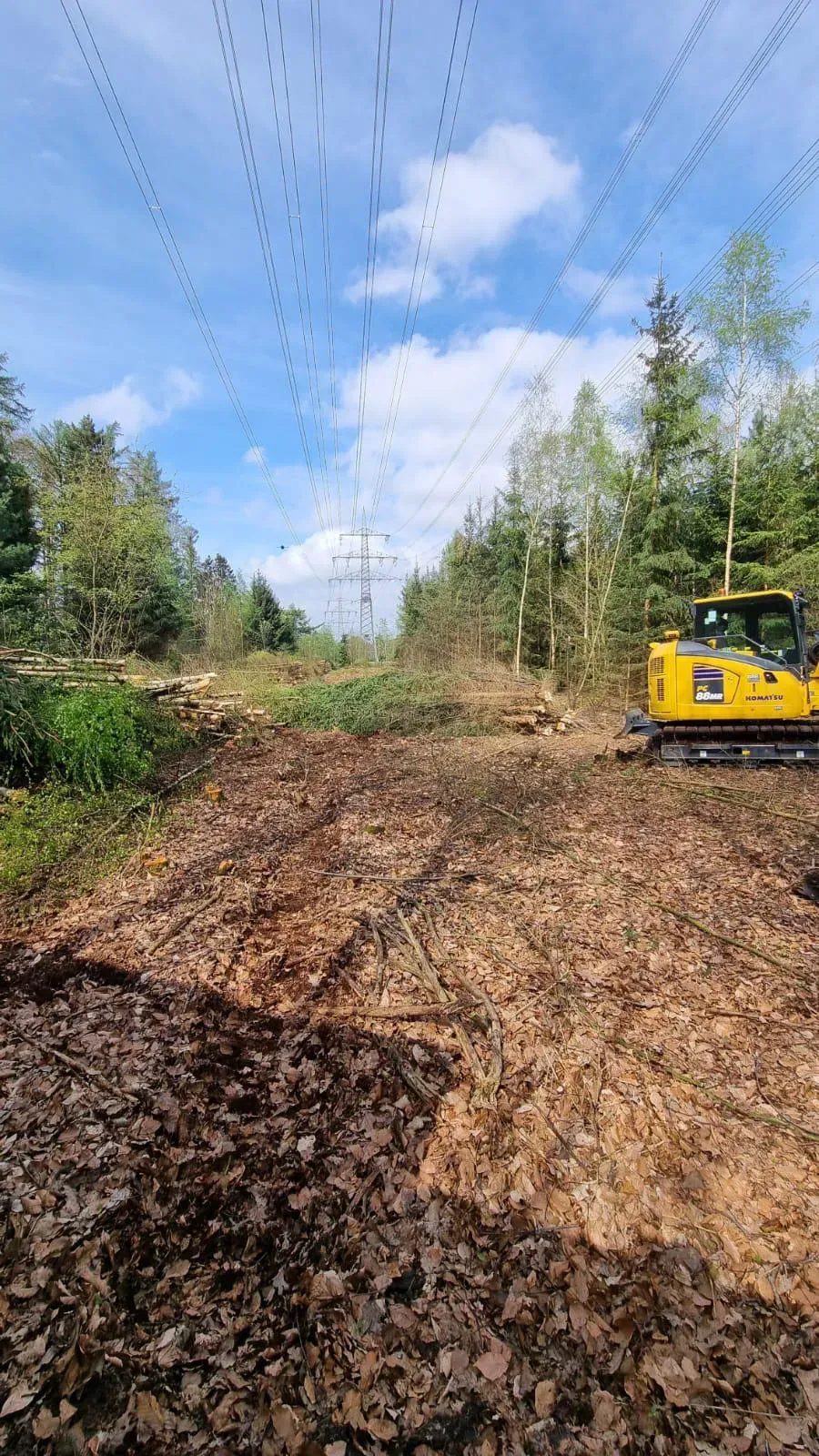 Ein gelber Bagger arbeitet auf einem Feldweg mitten im Wald.