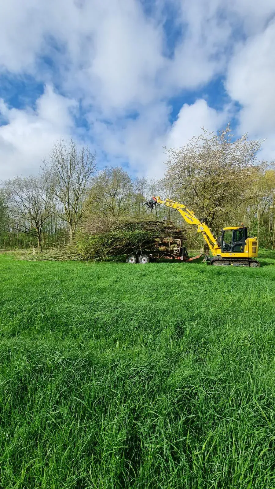 Ein gelber Bagger arbeitet auf einer Wiese.