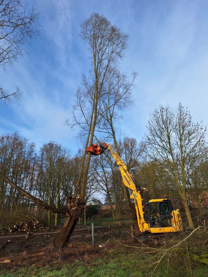 Ein gelber Bagger fällt in einem Wald einen Baum.