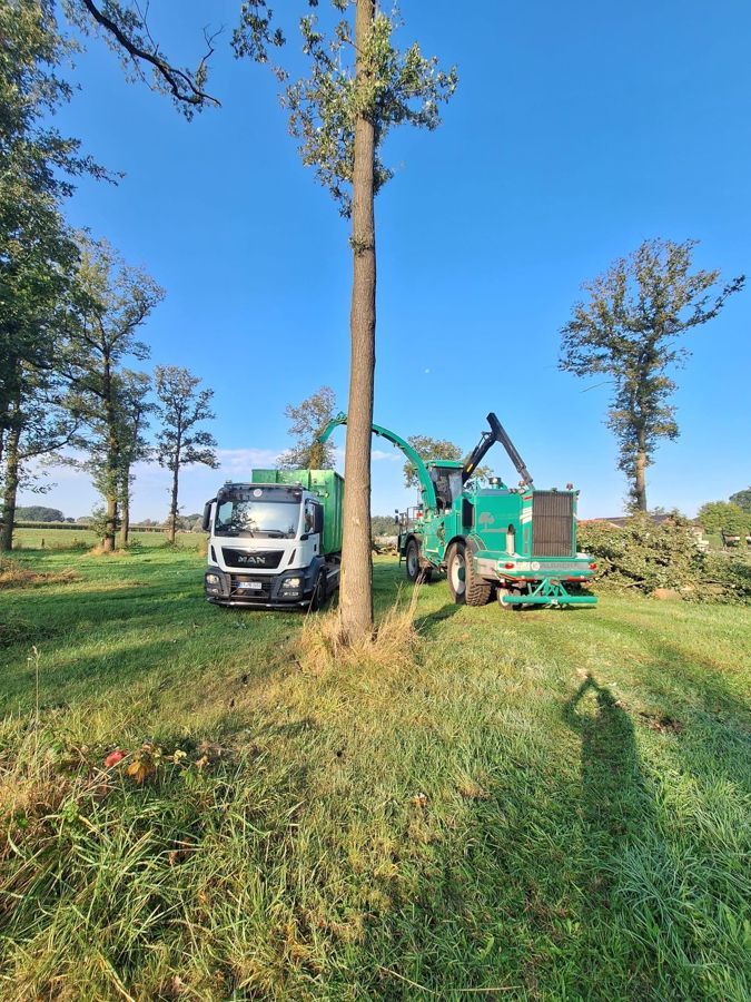 Ein grüner Lastwagen fällt auf einem Feld einen Baum.