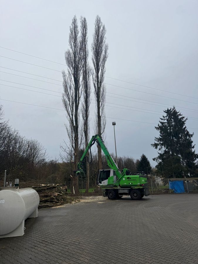 Ein grüner Kran fällt einen Baum auf einem Parkplatz