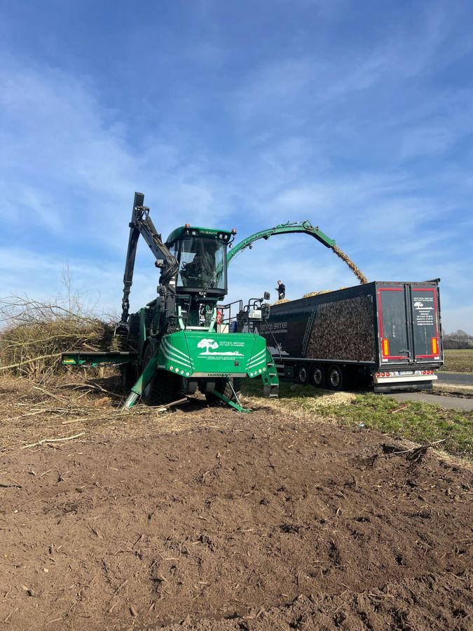 Ein grüner Traktor fällt auf einem Feld neben einem Lastwagen Holz.