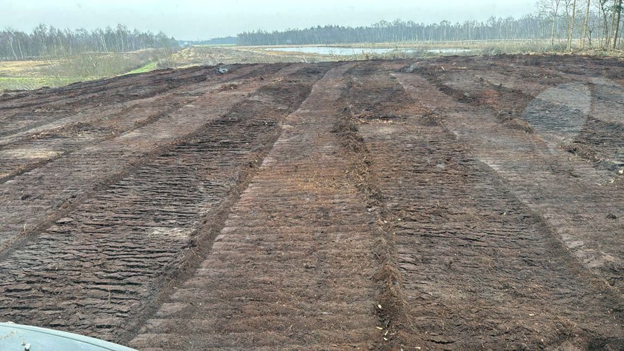 Ein großes Feld mit vielen Reifenspuren.