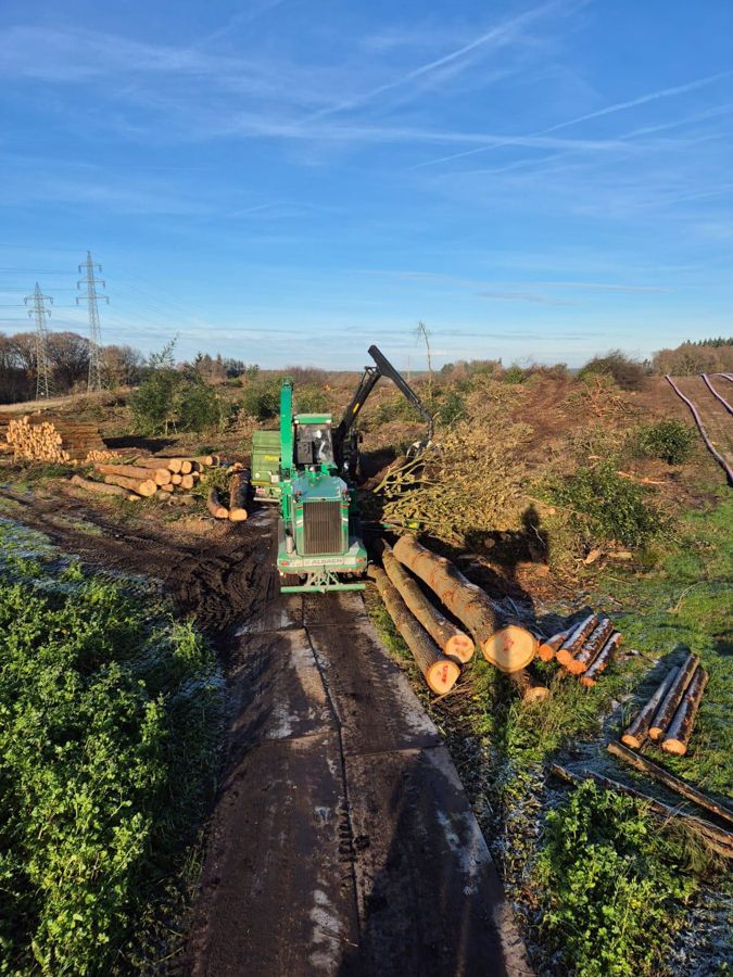 Ein grüner Lastwagen transportiert Baumstämme auf einer unbefestigten Straße.