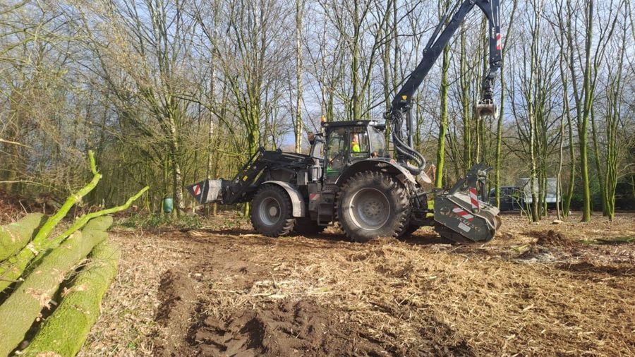 Ein Traktor fällt Bäume in einem Wald.