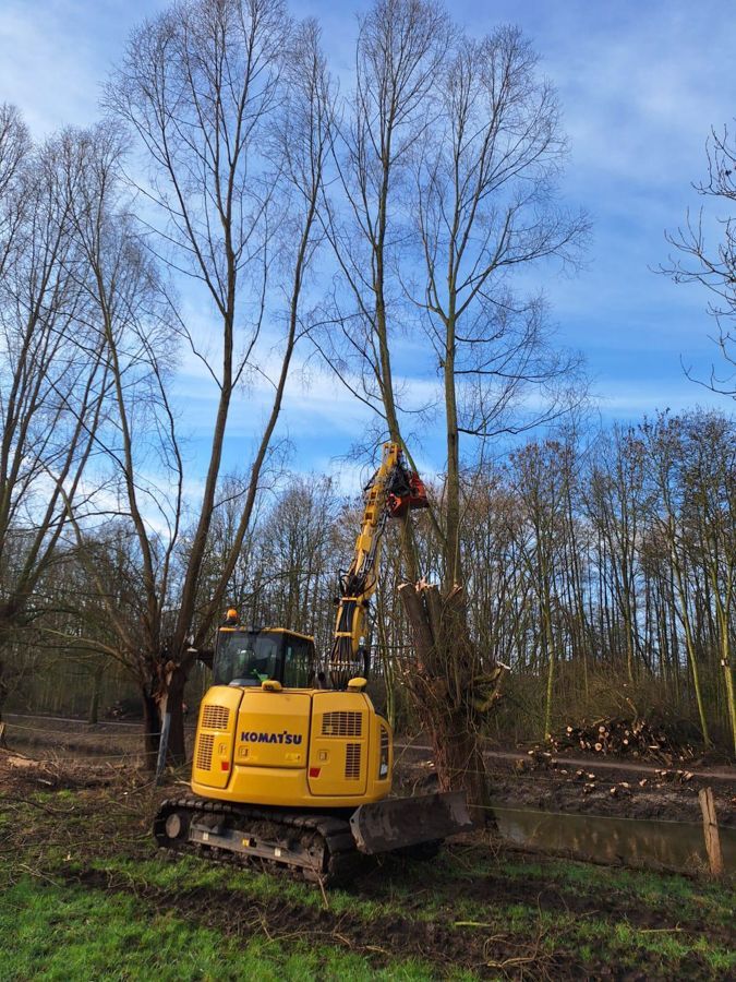 Ein gelber Bagger fällt auf einem Feld einen Baum.