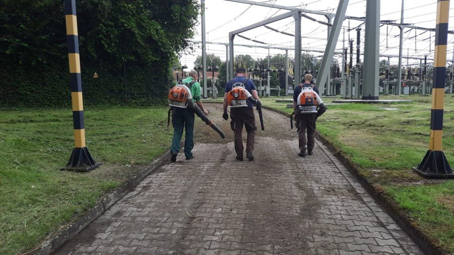 Eine Gruppe von Menschen geht eine Ziegelsteinstraße entlang.