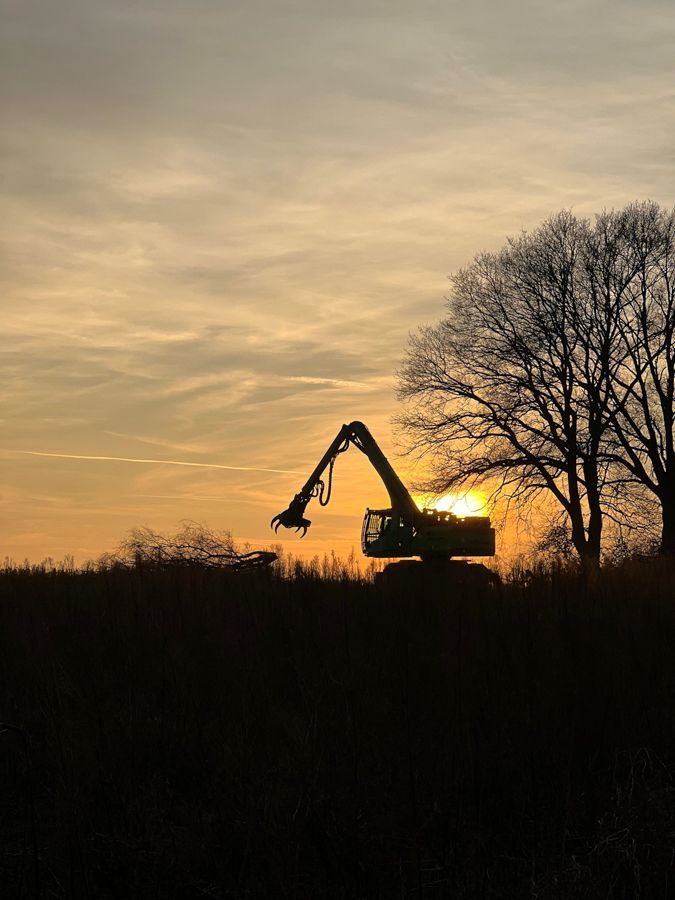 Die Silhouette eines Kranichs zeichnet sich vor dem Abendhimmel auf einem Feld ab.