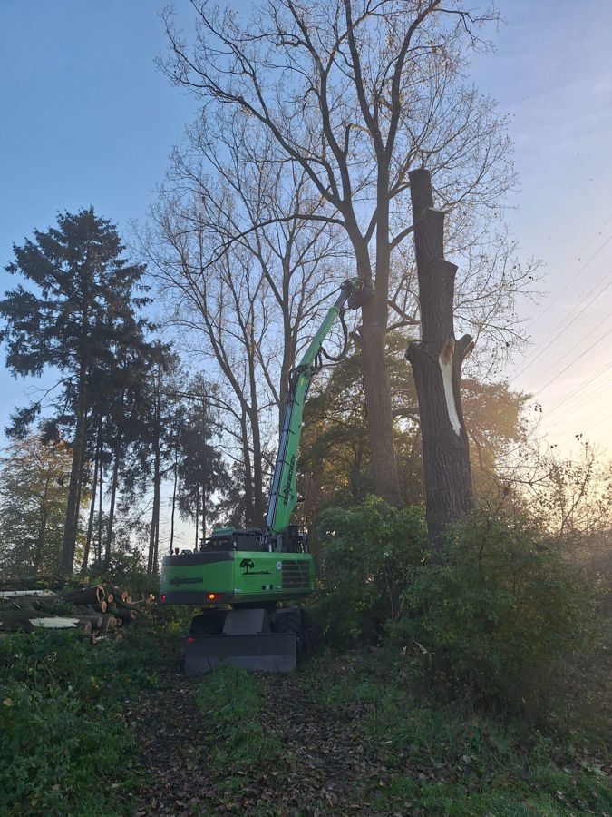 Ein grüner Bagger fällt einen Baum im Wald