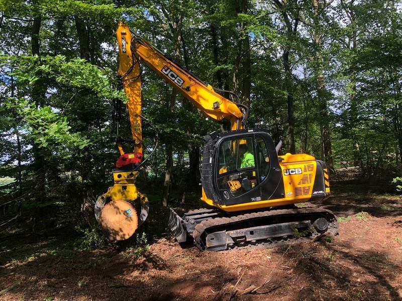 Ein gelber Bagger fällt im Wald einen Baum.