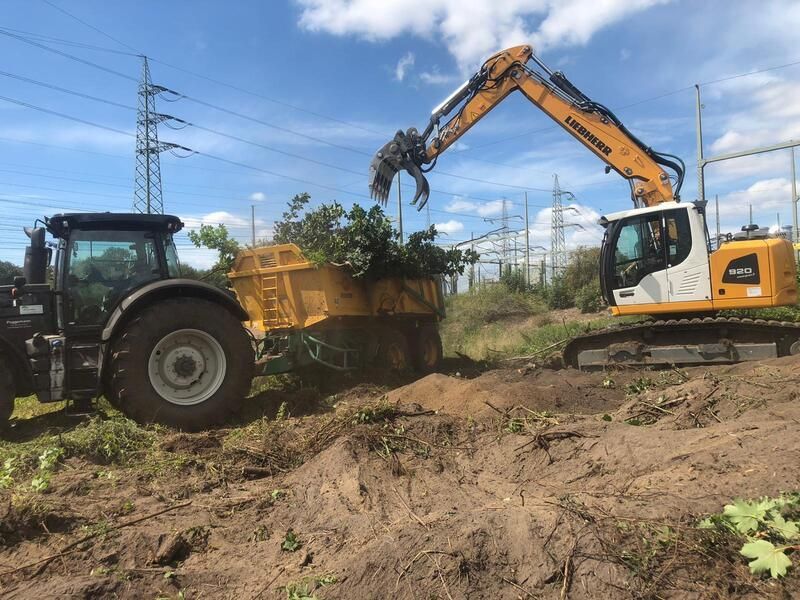 Ein großer gelber Bagger belädt einen Muldenkipper mit Erde.
