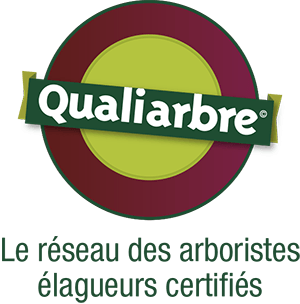 Logo Qualiarbre