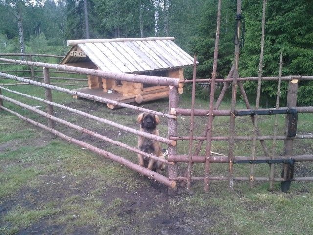 Hirsi- ja Kivityö Luonnontaidot