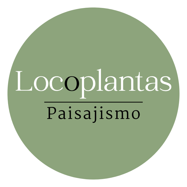 Estudio de Paisajismo, reformas y construcción en Manises
