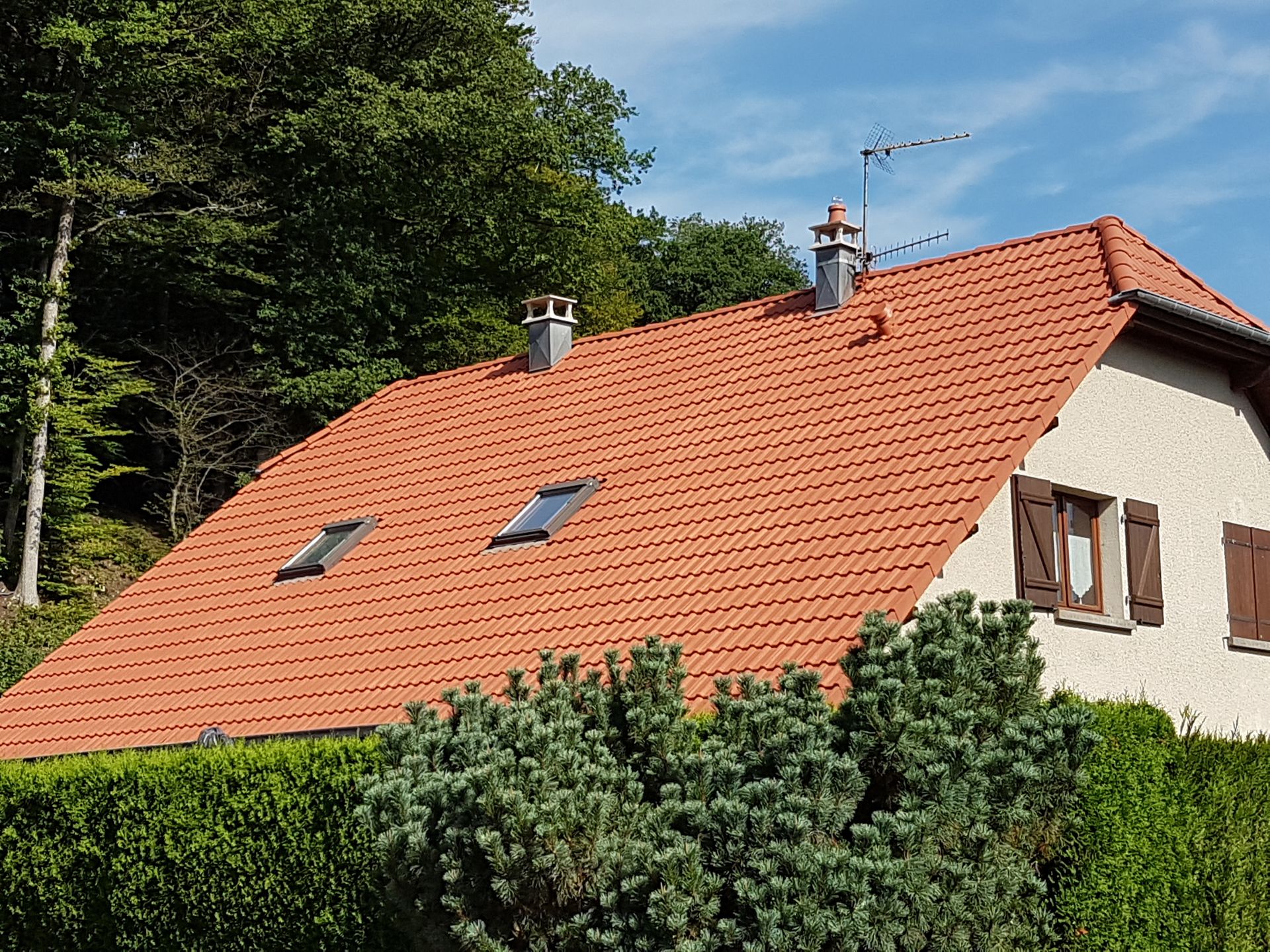Deux fenêtres de toit sur une maison proche des bois