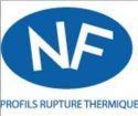 Logo NF.