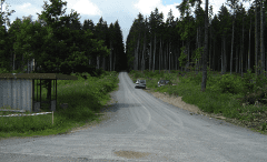 Weg, der in einen Wald hineinführt mit Auto am Wegrand