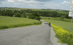 Weg an einer blühenden Wiese, Wegebau durch Wieduwilt Bau GmbH