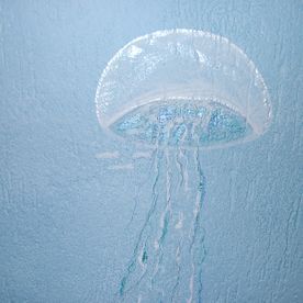 Verschiedene Anstrich und Gestaltungmöglichkeiten