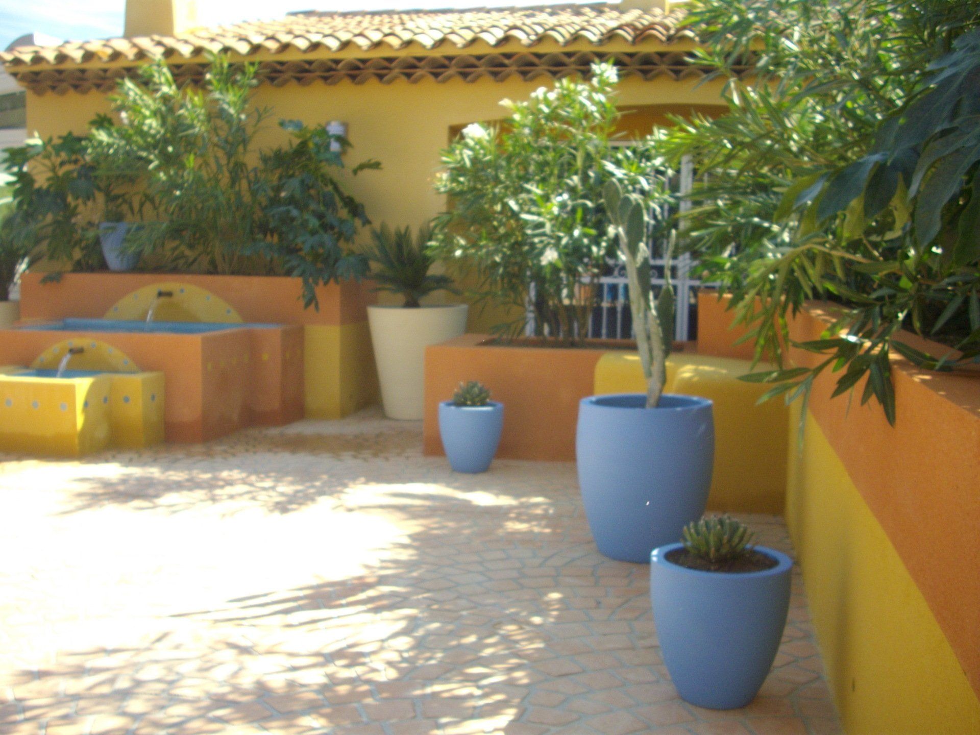 Jardin exotique avec des plantes