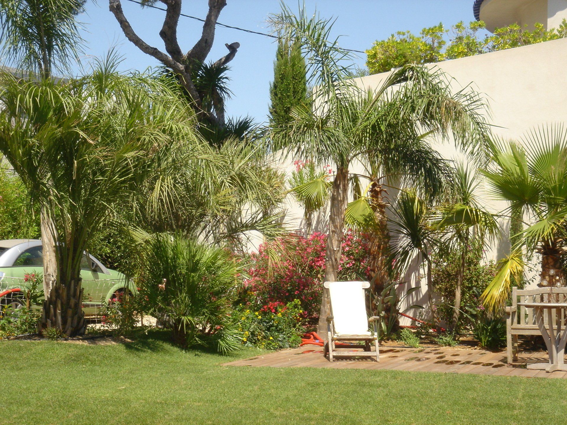 Jardin exotique avec des plantes exotiques