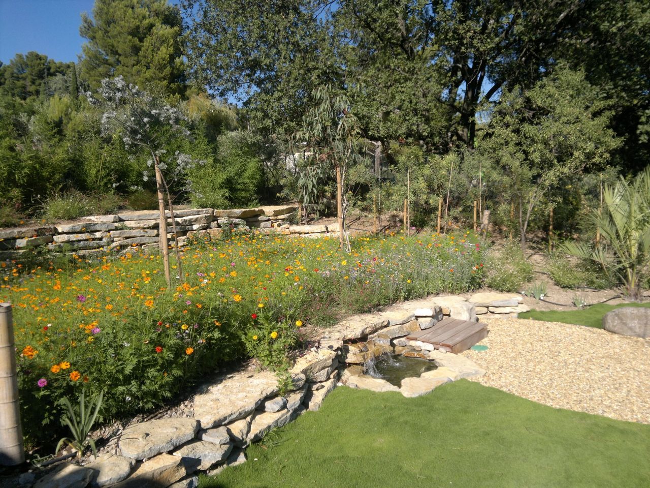 Jardin méditerranéen estival