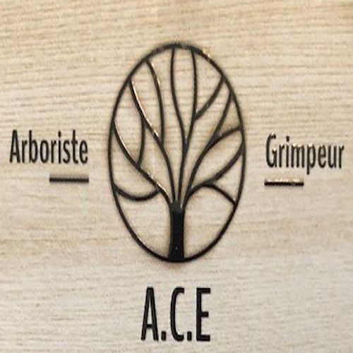 Logo A.C.E