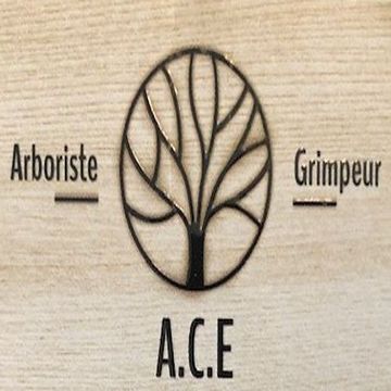 Logo société A.C.E