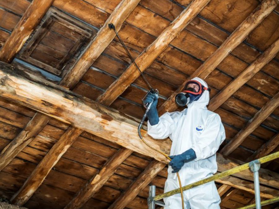 Traitement de charpente