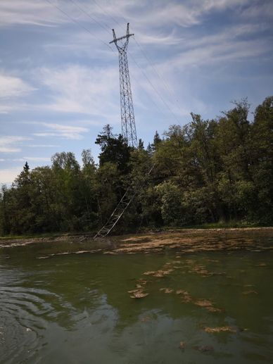 merikuljetuspalvelut